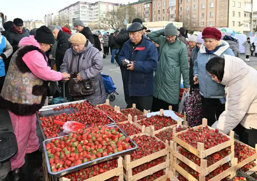 В областном центре прошла традиционная сельскохозяйственная ярмарка ко Дню Республики (2)