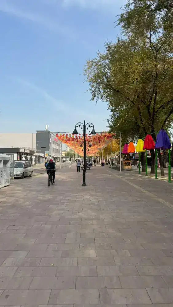 В Алматы ко Дню Республики завершено благоустройство двух пешеходных зон Жетысуского района (5)