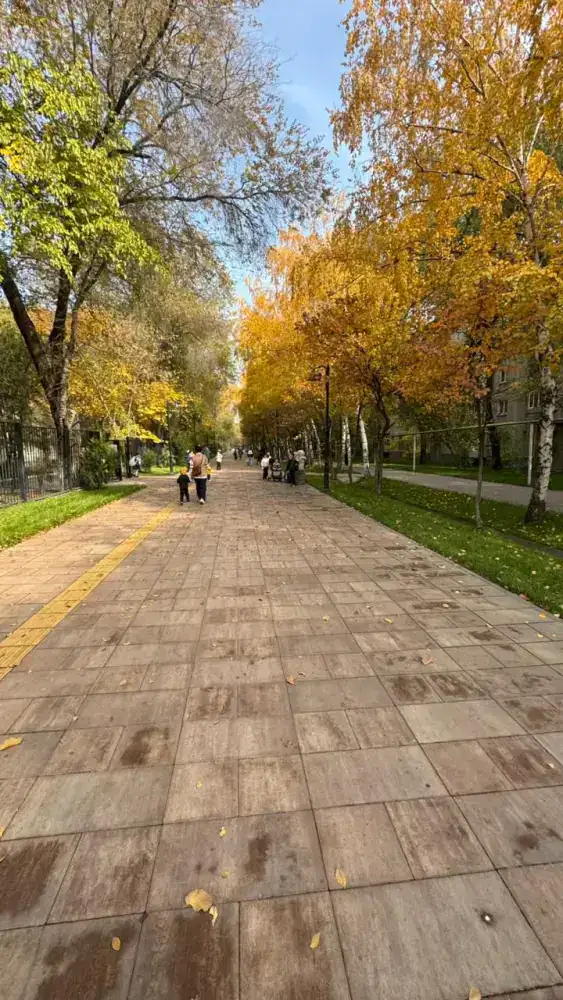 В Алматы ко Дню Республики завершено благоустройство двух пешеходных зон Жетысуского района (3)