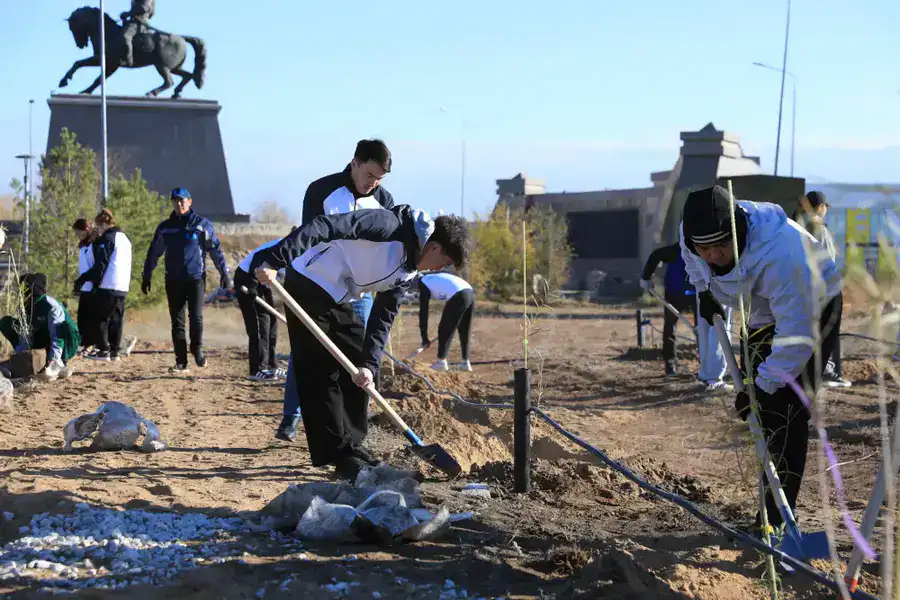 В Актобе впервые высадили реликтовое дерево турангу, приспособленное к засушливому климату (4)