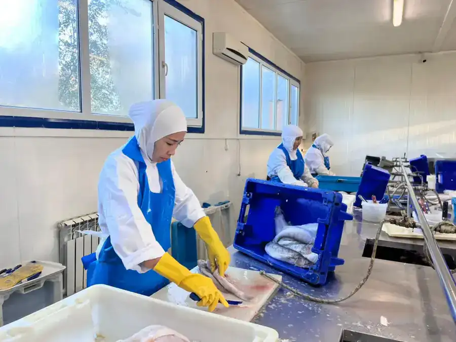 Рыбоперерабатывающий завод «Қарашалаң балық» запустили в Кызылординской области (3)