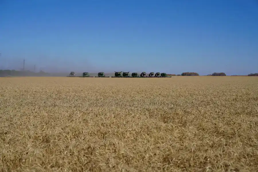 Мегаферма на 8000 голов строится в Северо-Казахстанской области (5)