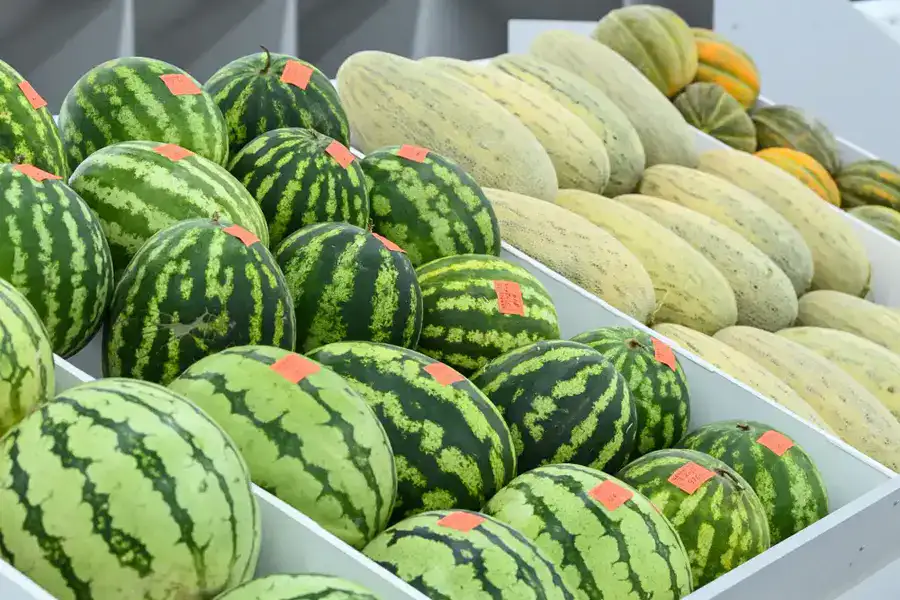 Коммунальный рынок «Syr darya» открылся в Кызылорде (4)