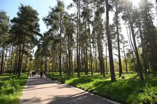 Свежий воздух для Алматы: новые меры по улучшению экологической ситуации (2)