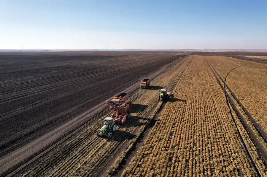 Аким области Гауез Нурмухамбетов с рабочим визитом посетил район Шал акына (3)