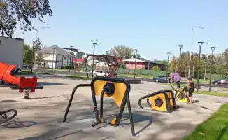 Алматы: осенний лес жизни — 528 новых саженцев для зеленого двора