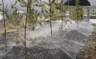 ТУРКЕСТАН: ЖИТЕЛИ КАЗЫГУРТА СБРАЛИСЬ В ЕДИНОМ ПОРЫВЕ ДЛЯ ЧИСТОТЫ В РАМКАХ ПРОГРАММЫ «ТАЗА ҚАЗАҚСТАН»