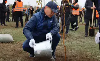 Масштабная экологическая акция в Экибастузе: более 300 деревьев высажены в рамках республиканской кампании