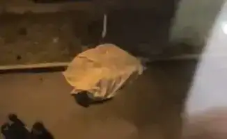 Девушка с девятого этажа: жизнь на грани падения