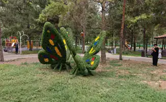 Обновление зелёной зоны в Алмалинском районе