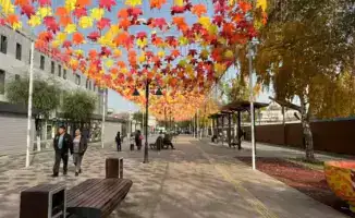 Благоустройство пешеходных зон в Алматы: новый облик и улучшение качества городской жизни