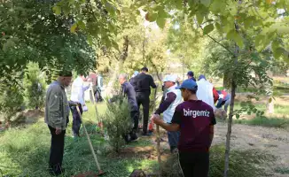 В Сарыагаше прошёл субботник в рамках инициативы «Таза Қазақстан» с участием около 4000 человек