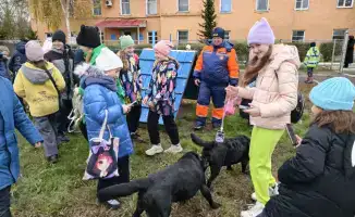 Дни открытых дверей МЧС: Формирование уважения к профессии спасателя среди молодежи