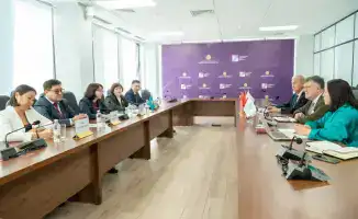 Медиация на границе: Казахстан, Турция и Кыргызстан объединяются!