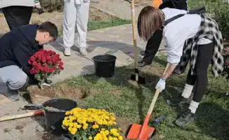 Алматинские школьники высадили карагачей в парке Сосновый бор