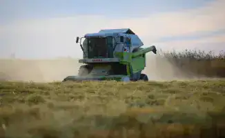 Успехи уборки риса в Балхашском районе: 6 065 гектаров уже собрано