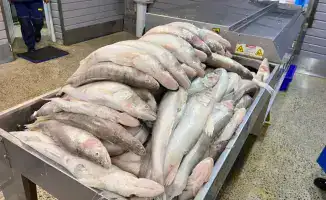 Новый рыбозавод открылся в Кызылорде