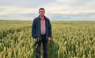 Инновации и господдержка: успех агробизнеса 'СК Агро 2050'