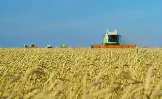Завершение уборочной кампании в Акмолинской области: собрали более 7,1 млн тонн зерна