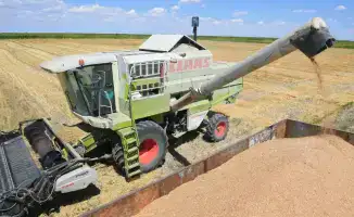 Казахстан: урожайный дождь принес 1,6 млн тонн зерна на экспорт