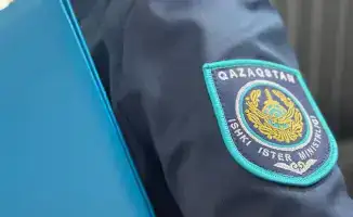 Раскрытие кражи 6,5 млн тенге в Алматы: международные стандарты расследования и благодарность следователям