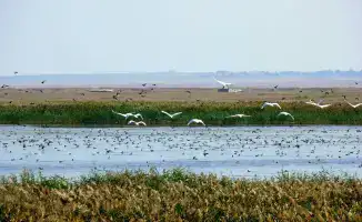 Tourism Growth and Cultural Heritage Preservation in Kazakhstan's Kostanay Region