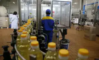 Сотрудничество Казахстана и Узбекистана в сфере подсолнечного масла: новые возможности для регионального рынка и экспорта