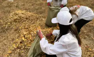 Экологическая инициатива в Шымкенте: активное участие жителей и школьников способствует формированию сознательной культуры охраны окружающей среды