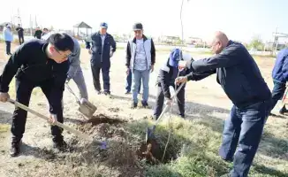 В Толебийском районе высажено 2000 деревьев в рамках субботника