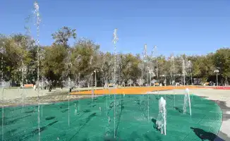 20 тысяч рук и 13 тысяч деревьев: акция в парке!