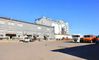 Рост производства растительного масла в Карагандинской области Казахстана благодаря государственной поддержке