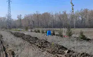 Новый лесной питомник открыт в Семее