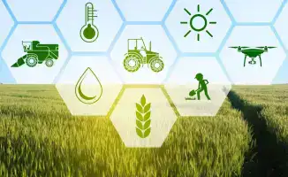 Завершение сельскохозяйственной переписи в Казахстане 2025 года