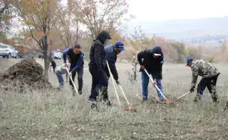 11 780 человек участвуют в субботнике в Жетісу, высаживая 4600 деревьев и очищая берега реки