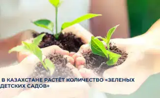 В Алматы увеличивается число «Зеленых детских садов»