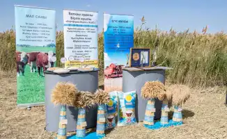 Рост агросектора Алматинской области: влияние рекордных урожаев и инвестиций на экономику региона