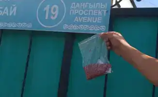 Дератизация в Алматы обработано более 47 тыс гектаров