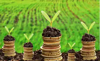 новые механизмы льготного кредитования для аграриев в сельском хозяйстве