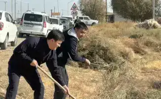 В Жетысайском районе успешно завершены уборочные работы по программе «Таза Қазақстан»