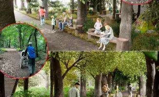 Алматы обновляет Рощу Баума: новый дизайн для знакового природного уголка мегаполиса