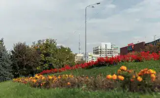 Алматинцы встряхнулись: оповещения о землетрясении на телефонах