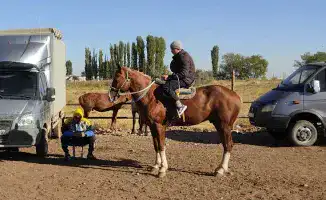 Сравнение жизни в аулах и городах юга Казахстана: комфорт, возможности и уровень жизни — в чем разница?
