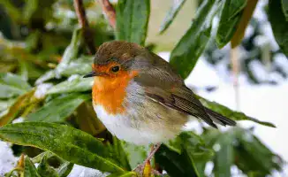 Циклон и антициклон разделили Казахстан: снег на севере, тепло на юге - прогноз погоды от Казгидромета на 16-18 октября