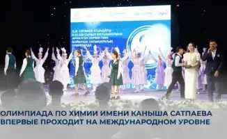 Кто зажжет искру на олимпиаде по химии?