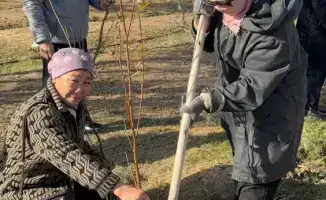 Экологическая акция в селе Бодене высадка деревьев и очистка улиц