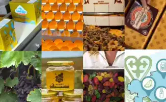 Челлендж «Мой региональный бренд»: шаг к укреплению идентичности казахстанских товаров через географические указания