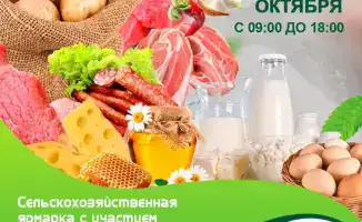 Кормим Астану: ярмарка от Северо-Казахстанской и Павлодарской!