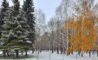 Снегопад и заморозки: Казахстан готовится к зимнему сюрпризу