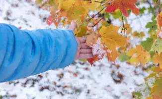 Холодные дни ожидают Казахстан: прогноз погоды на 21-23 октября