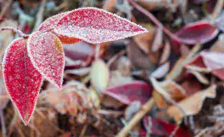 Казахстан ожидает ясную погоду и морозы до -13°C в начале октября